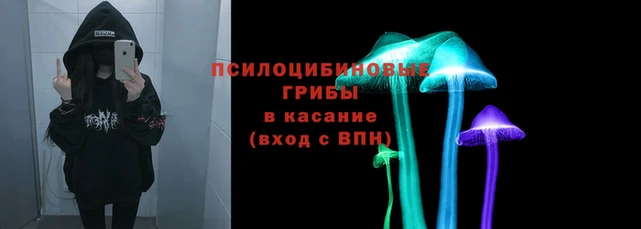 apvp Горно-Алтайск