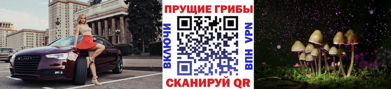 где можно купить наркотик  Железноводск  Псилоцибиновые грибы GOLDEN TEACHER 