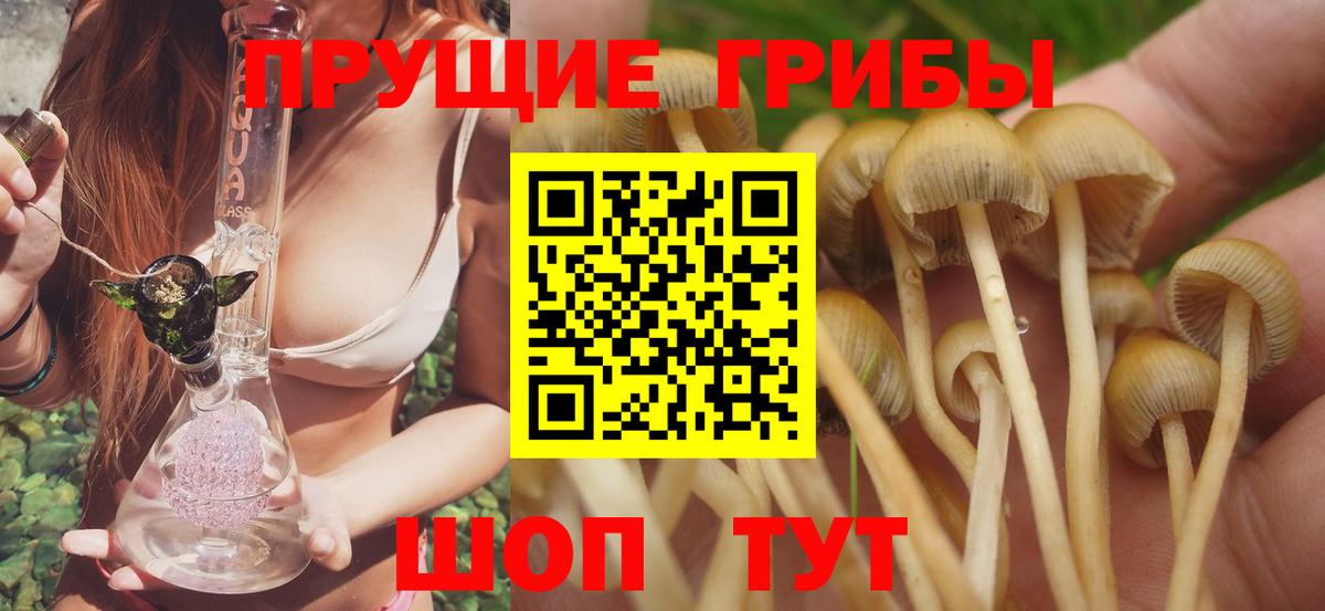 Железноводск  Псилоцибиновые грибы ЛСД  Галлюциногенные грибы Psilocybine cubensis  Вход с VPN 